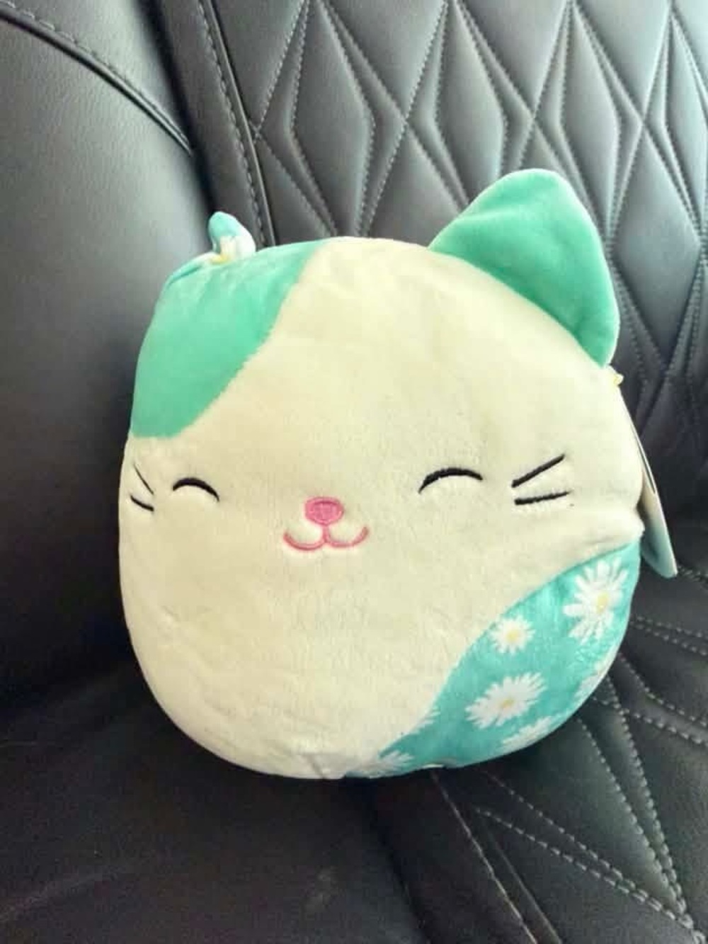 NWT squishmallow